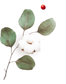 https://cianni-vargas.click/wp-content/uploads/2020/10/floating_image_06.png