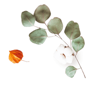https://cianni-vargas.click/wp-content/uploads/2020/10/floating_image_07.png