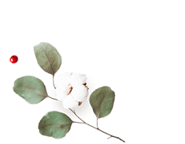 https://cianni-vargas.click/wp-content/uploads/2020/12/floating_image_flower_01.png