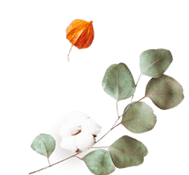 https://cianni-vargas.click/wp-content/uploads/2020/12/floating_image_flower_02.png