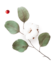 https://cianni-vargas.click/wp-content/uploads/2020/12/floating_image_flower_03.png