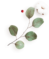 https://cianni-vargas.click/wp-content/uploads/2020/12/floating_image_flower_04.png